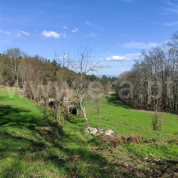 Quinta  Celorico de Basto, Arnóia - 1367530 - 5