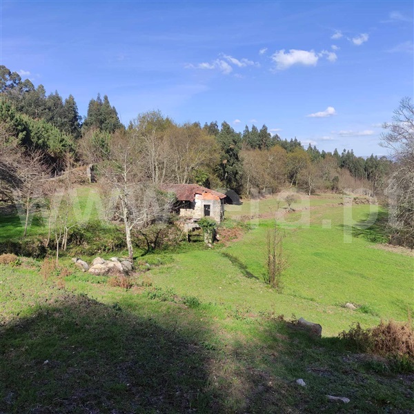 Quinta  Celorico de Basto, Arnóia - 1367530 - 6