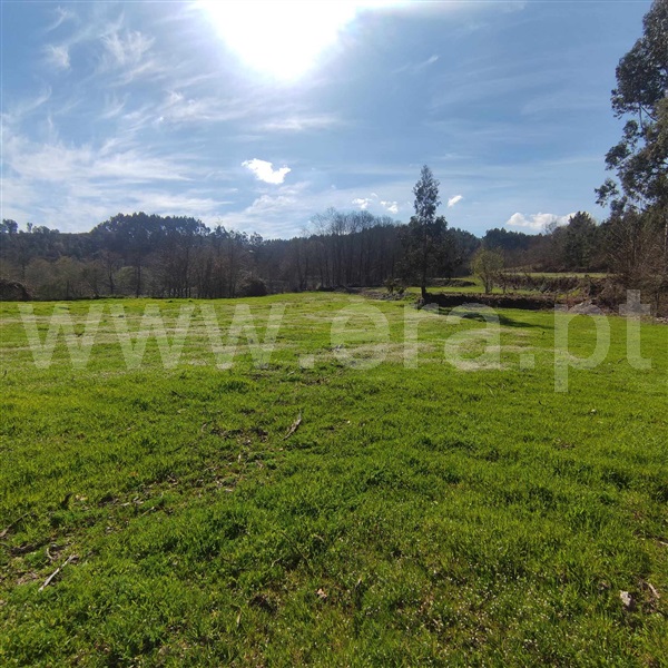 Quinta  Celorico de Basto, Arnóia - 1367530 - 7