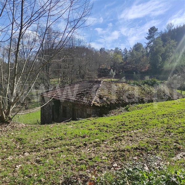 Quinta / Celorico de Basto, Arnóia