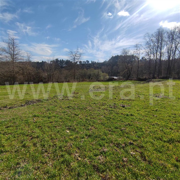 Quinta  Celorico de Basto, Arnóia - 1367530 - 9