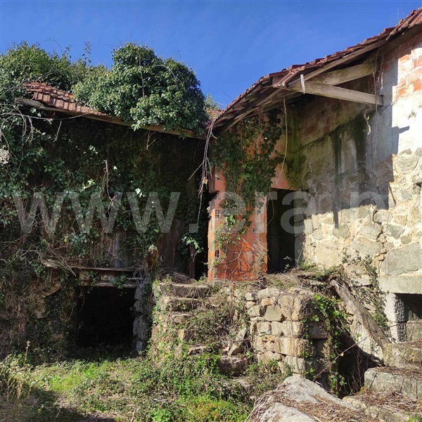 Quinta  Celorico de Basto, Arnóia - 1367530 - 10
