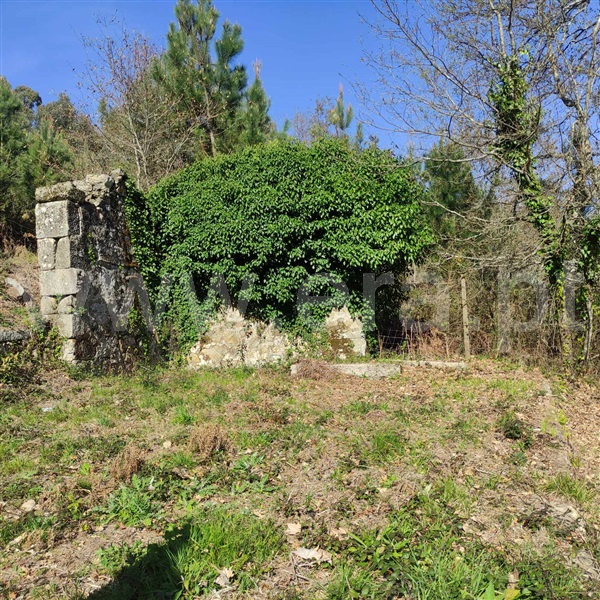 Quinta  Celorico de Basto, Arnóia - 1367530 - 11