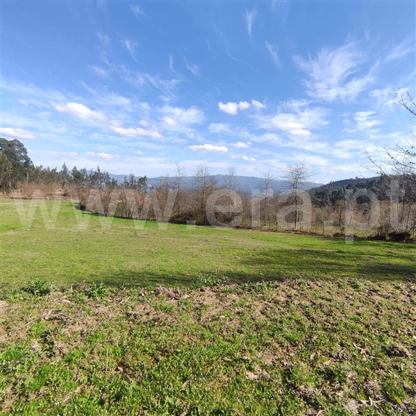 Quinta  Celorico de Basto, Arnóia - 1367530 - 12