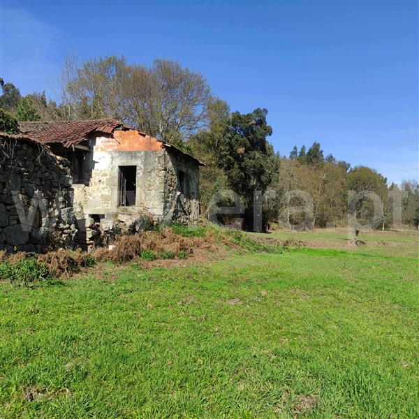 Quinta  Celorico de Basto, Arnóia - 1367530 - 13