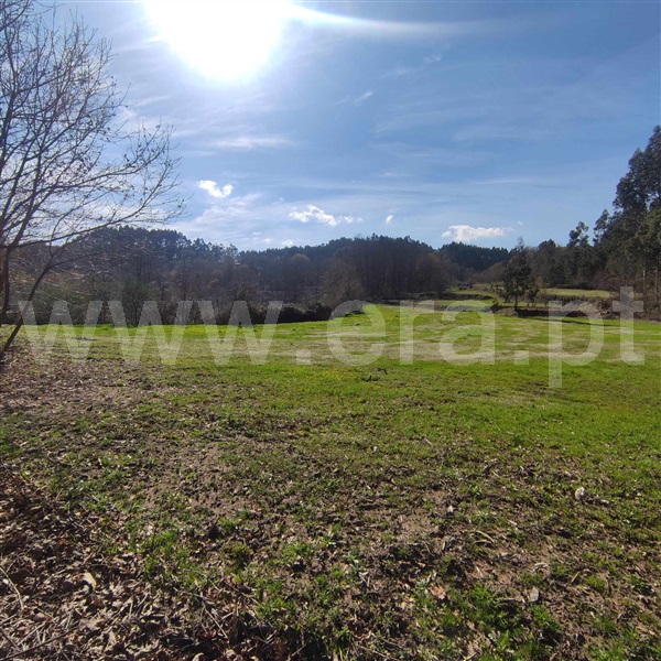 Quinta  Celorico de Basto, Arnóia - 1367530 - 15