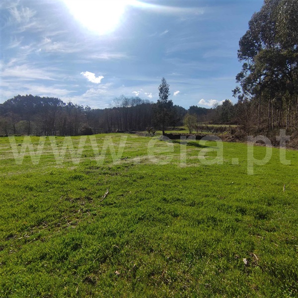 Quinta  Celorico de Basto, Arnóia - 1367530 - 16