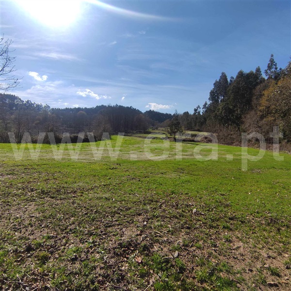 Quinta  Celorico de Basto, Arnóia - 1367530 - 17