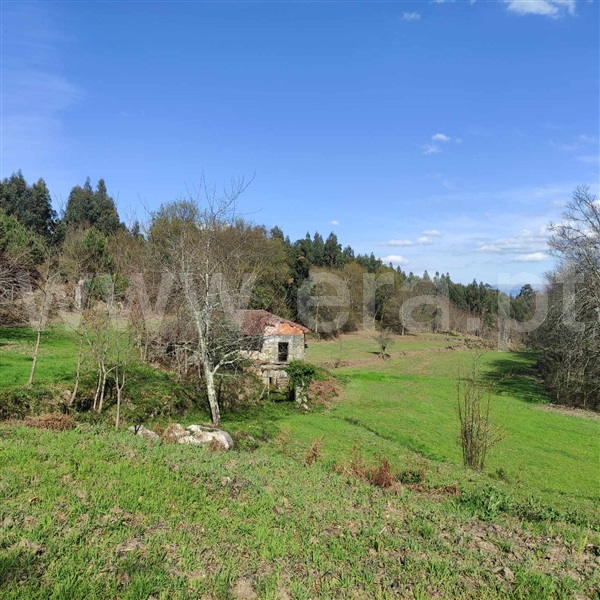Quinta  Celorico de Basto, Arnóia - 1367530 - 18