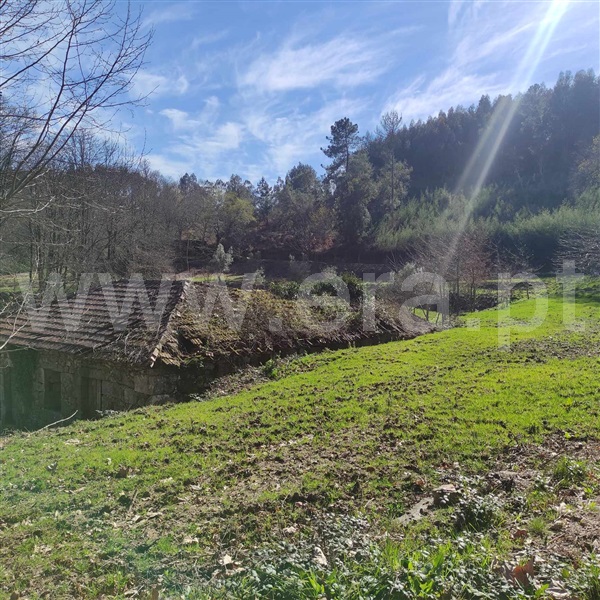 Quinta  Celorico de Basto, Arnóia - 1367530 - 19