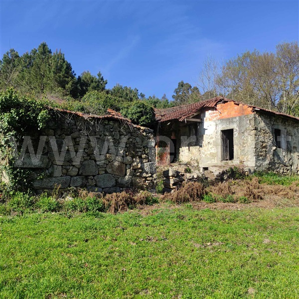 Quinta  Celorico de Basto, Arnóia - 1367530 - 21