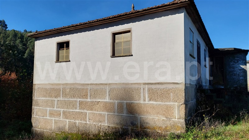 Quinta  Celorico de Basto, Basto (São Clemente) - 1371652 - 4