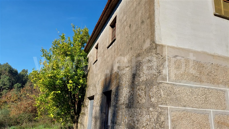 Quinta  Celorico de Basto, Basto (São Clemente) - 1371652 - 5