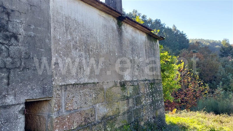 Quinta  Celorico de Basto, Basto (São Clemente) - 1371652 - 6