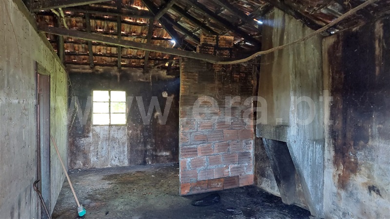 Quinta  Celorico de Basto, Basto (São Clemente) - 1371652 - 7