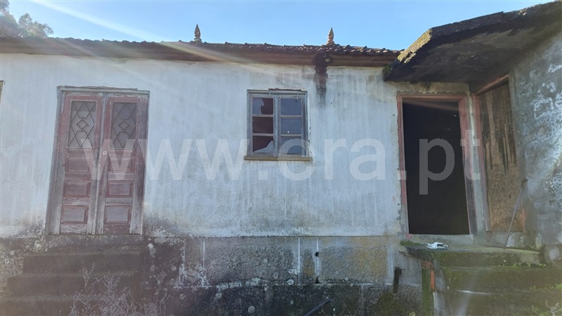 Quinta  Celorico de Basto, Basto (São Clemente) - 1371652 - 8