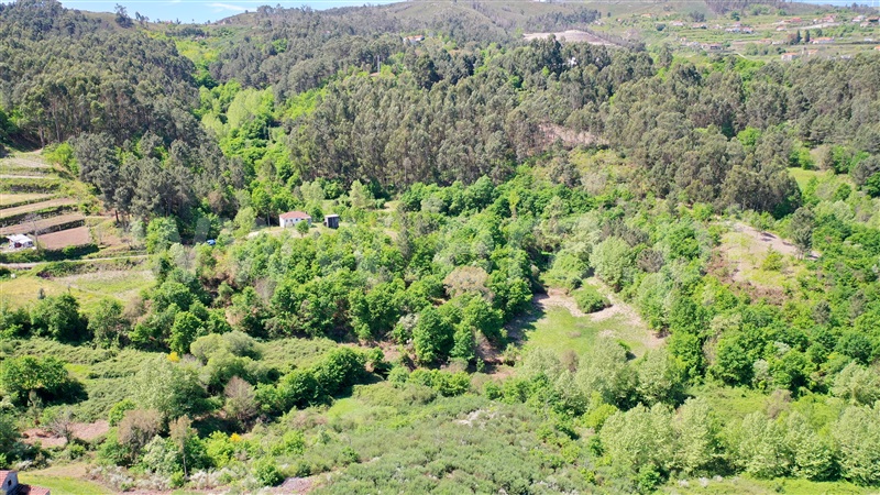 Quinta  Celorico de Basto, Basto (São Clemente) - 1371652 - 9