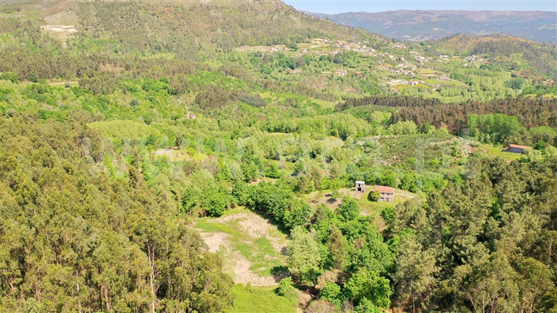 Quinta  Celorico de Basto, Basto (São Clemente) - 1371652 - 12