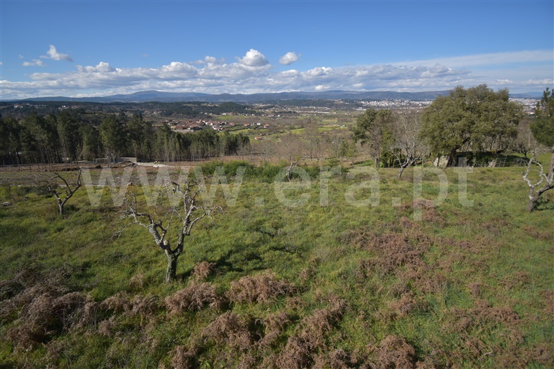 Quinta  Chaves, Vilar de Nantes - 1240944 - 13
