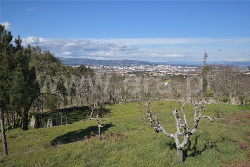 Quinta  Chaves, Vilar de Nantes - 1240944 - 15