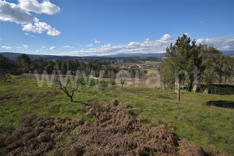 Quinta  Chaves, Vilar de Nantes - 1240944 - 16