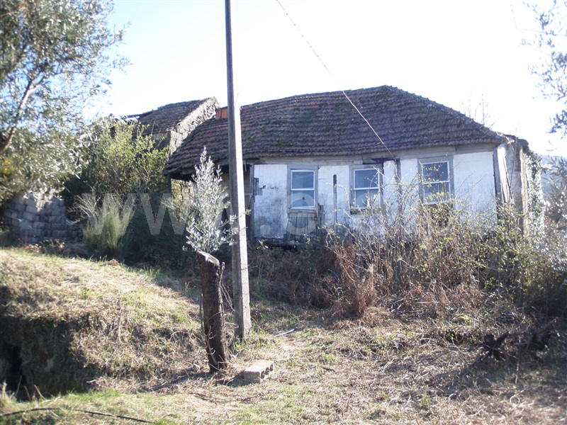 Quinta  com Grande Cinfães - 1502232 - 8