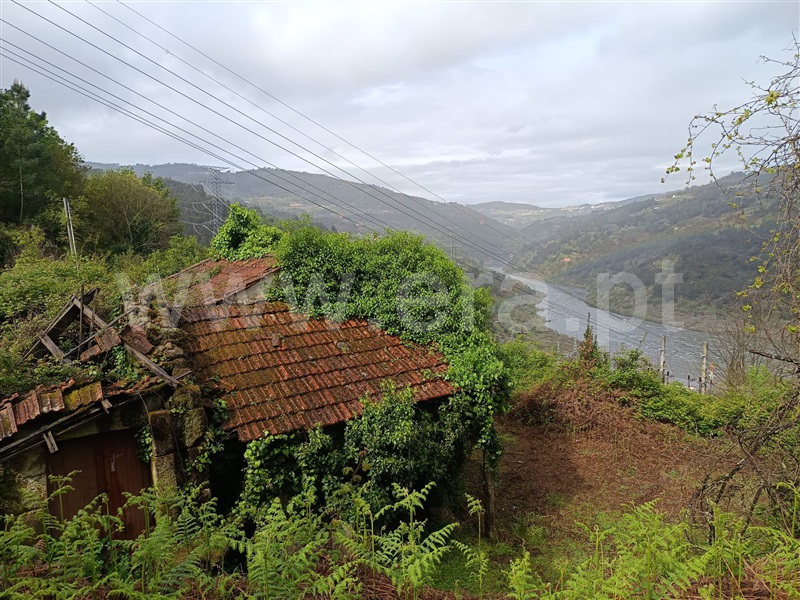 Moradia Rústica / Cinfães, Rio Douro
