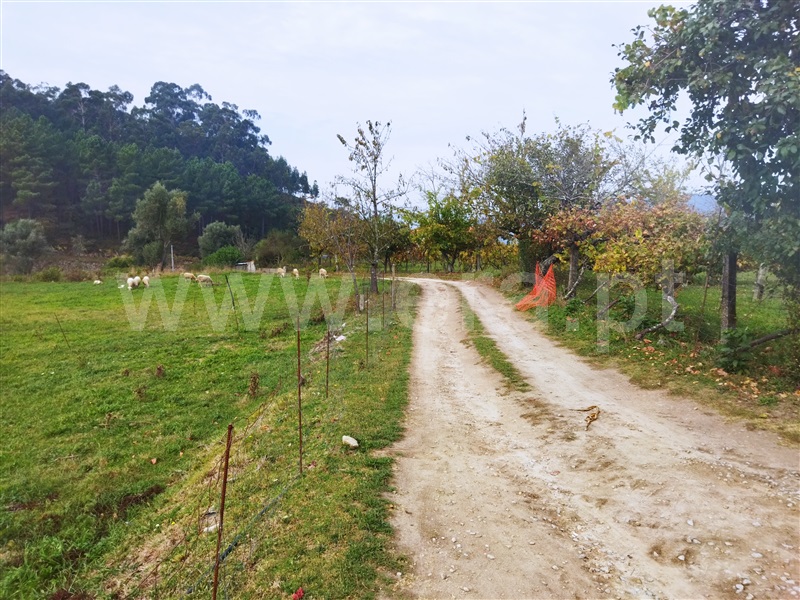 Quinta  Cinfães, Tarouquela - 1362926 - 4