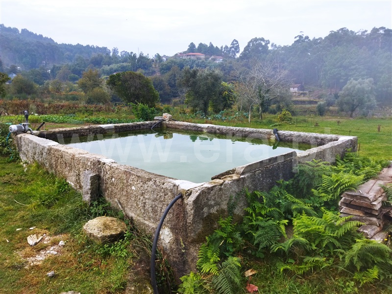 Quinta  Cinfães, Tarouquela - 1362926 - 8
