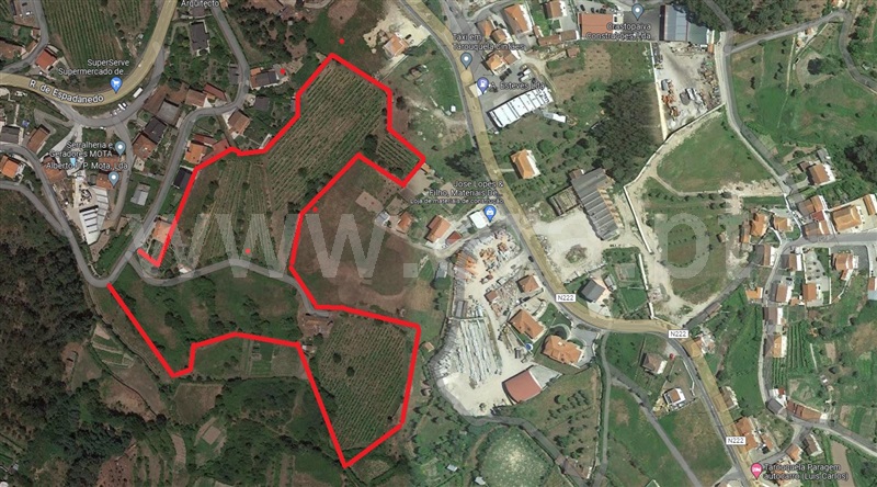 Quinta  Cinfães, Tarouquela - 1362926 - 12