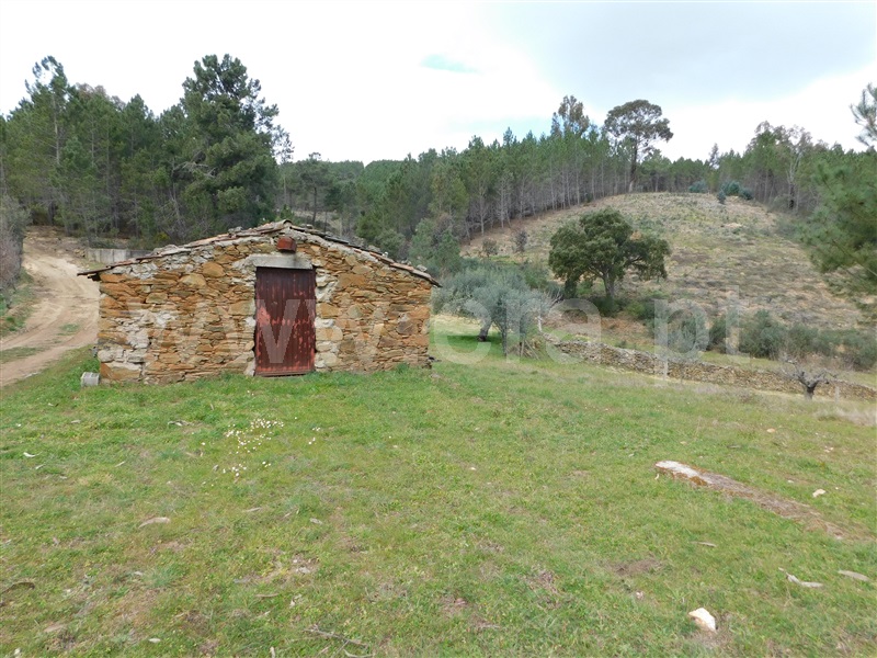 Quinta / Covilhã, Barco