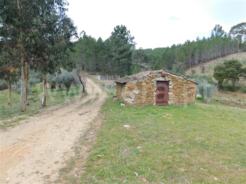 Quinta  Covilhã, Barco - 549389 - 4