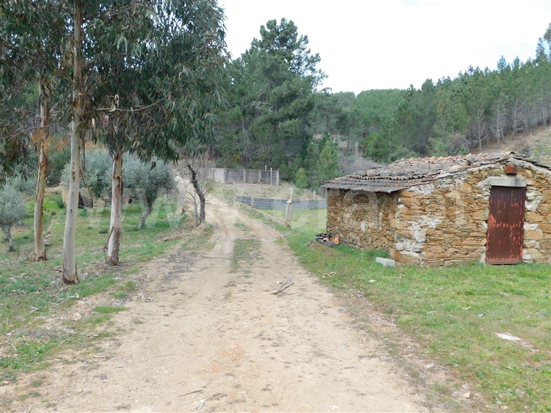 Quinta  Covilhã, Barco - 549389 - 5