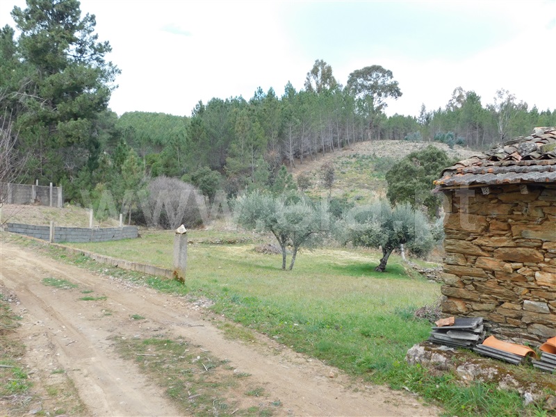 Quinta  Covilhã, Barco - 549389 - 7