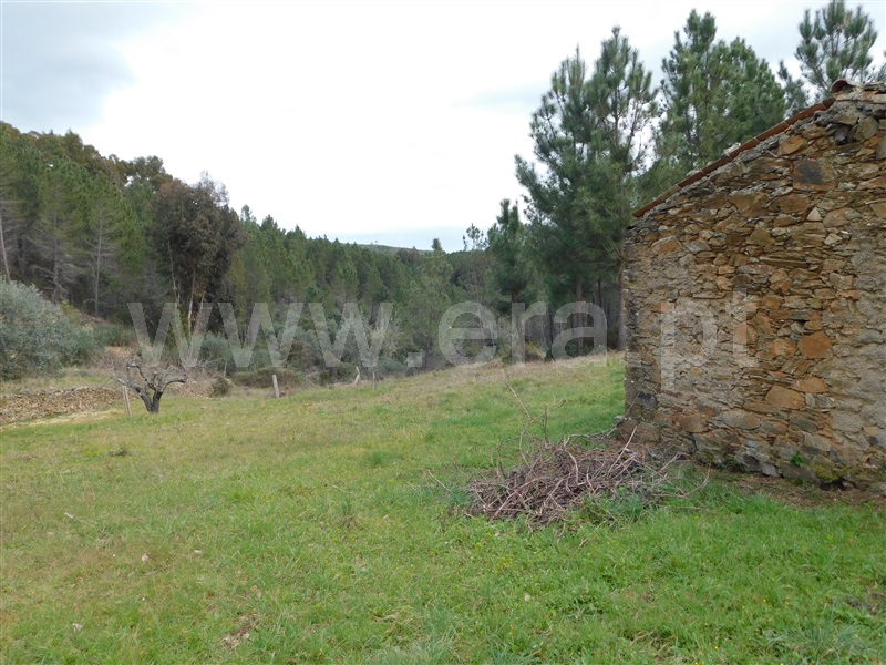 Quinta  Covilhã, Barco - 549389 - 8