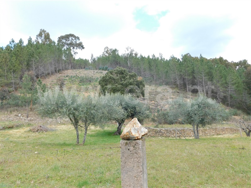 Quinta  Covilhã, Barco - 549389 - 9