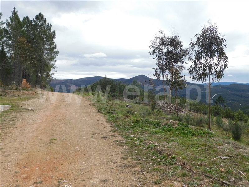 Quinta  Covilhã, Barco - 549389 - 11
