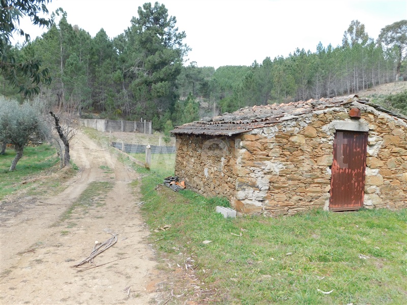 Quinta  Covilhã, Barco - 549389 - 12