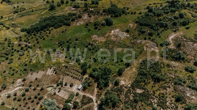 Quinta  Covilhã, Peraboa - 1003601 - 2
