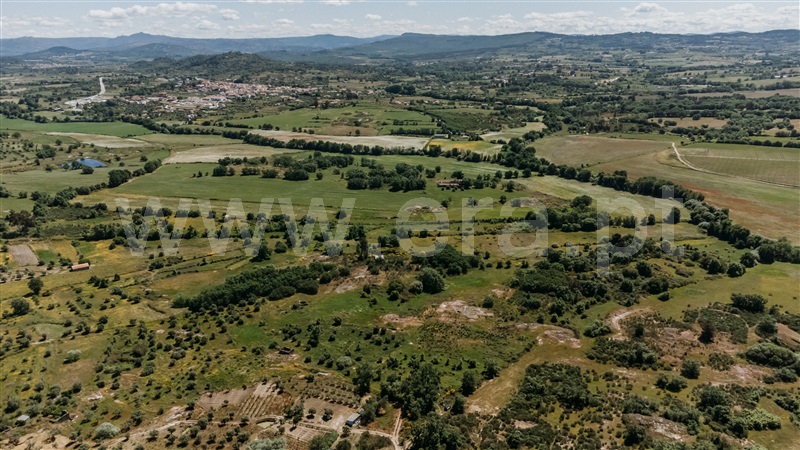 Quinta  Covilhã, Peraboa - 1003601 - 3