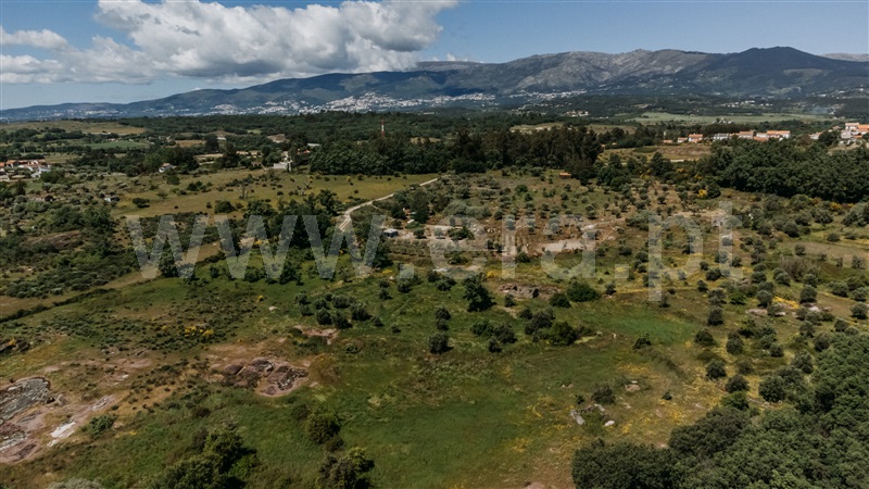 Quinta  Covilhã, Peraboa - 1003601 - 8