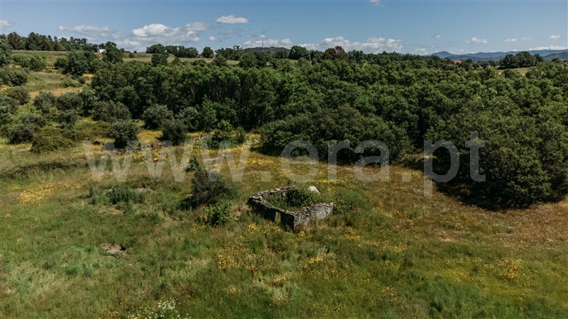 Quinta  Covilhã, Peraboa - 1003601 - 10