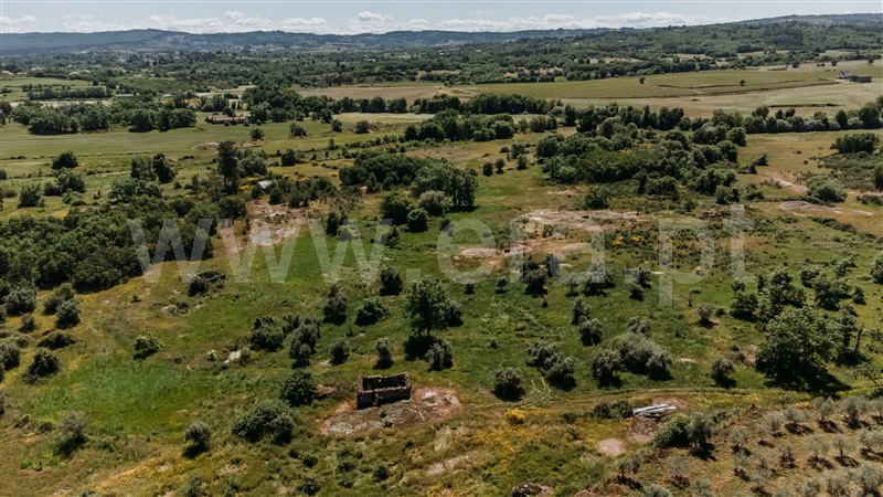 Quinta  Covilhã, Peraboa - 1003601 - 12