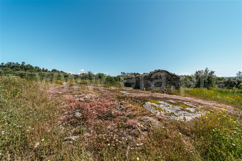 Quinta  Covilhã, Peraboa - 1003601 - 18