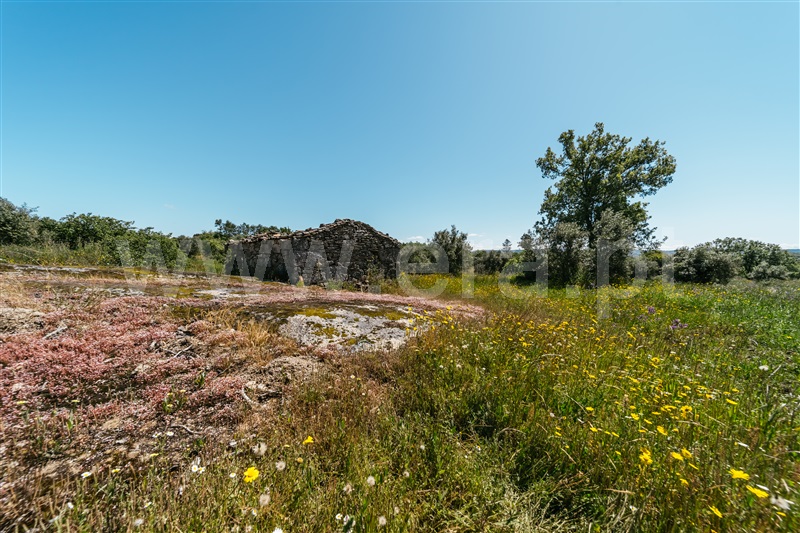 Quinta  Covilhã, Peraboa - 1003601 - 19