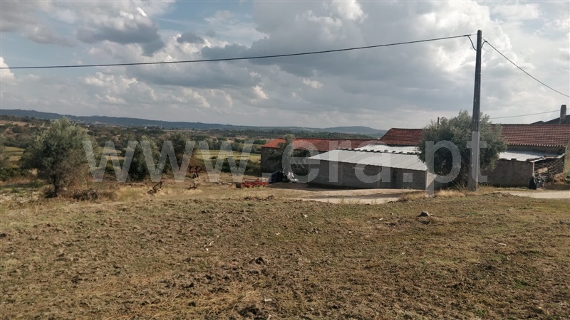 Quinta / Covilhã, Teixoso e Sarzedo