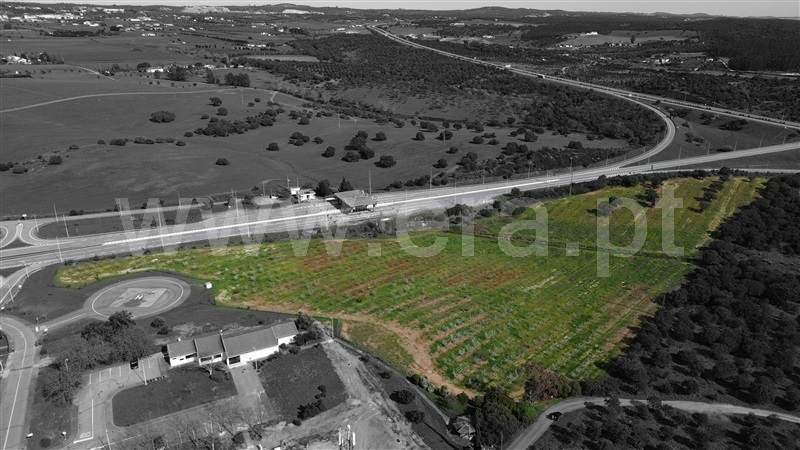 Quinta / Estremoz, Évora Monte (Santa Maria)