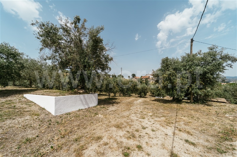 Quinta  com Agrícola Covilhã, Boidobra - 1410442 - 15