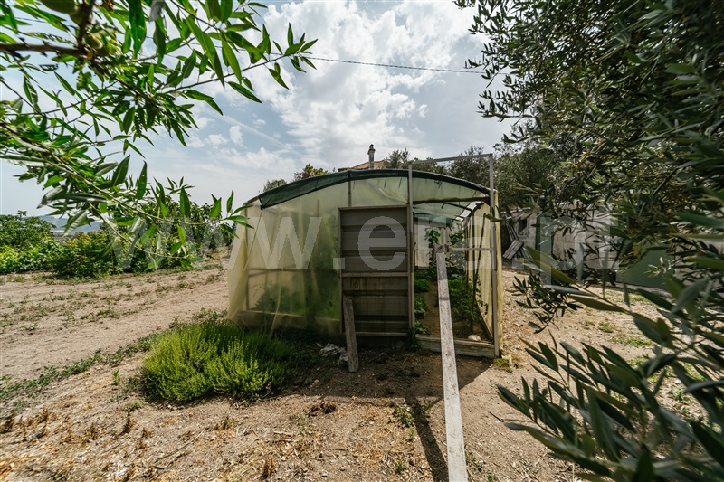 Quinta  com Agrícola Covilhã, Boidobra - 1410442 - 25