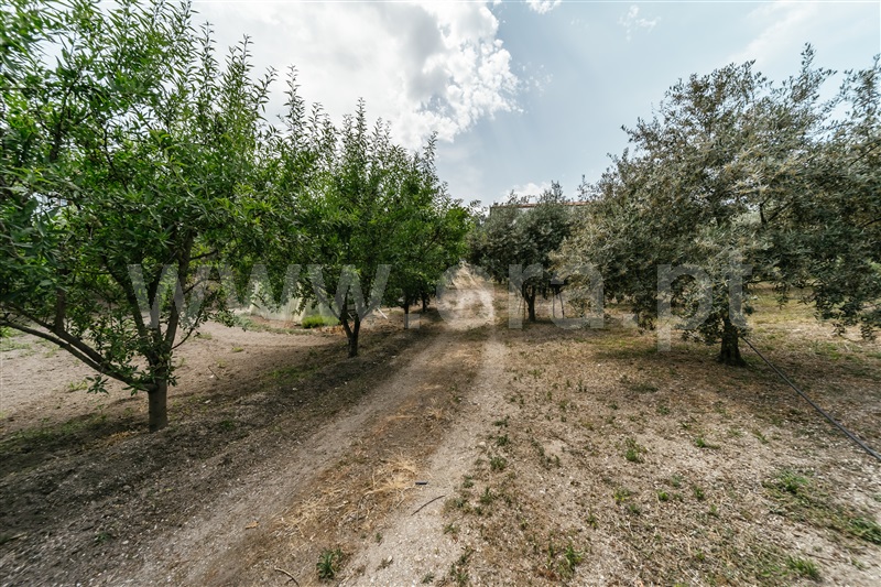Quinta  com Agrícola Covilhã, Boidobra - 1410442 - 28